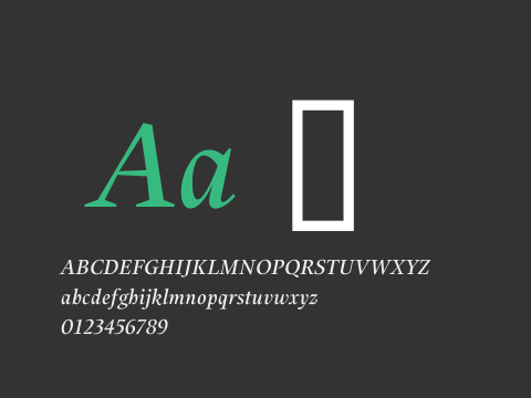 Alias UnionMedium Italic