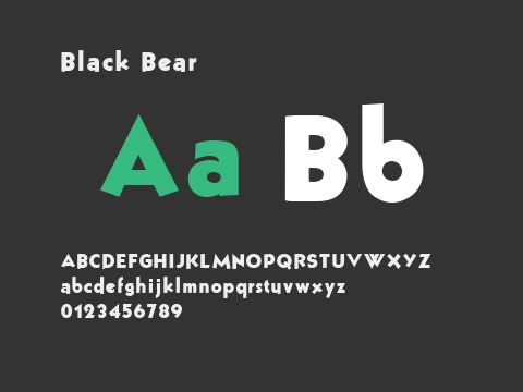 Black Bear