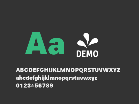 FSP DEMO - Paul Grotesk Black