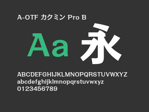 A-OTF カクミン Pro B