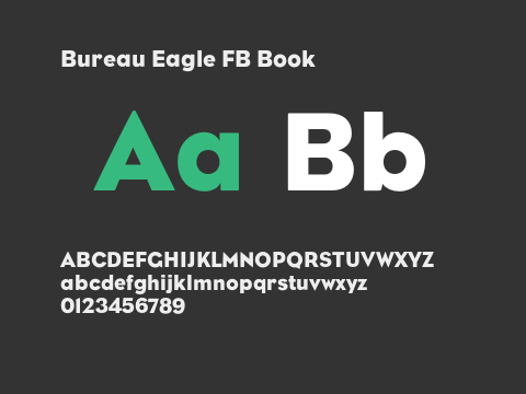 Bureau Eagle FB Book