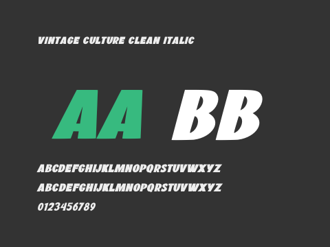 Vintage Culture Clean Italic