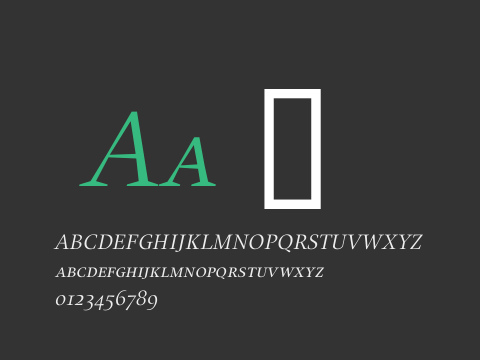 Alias UnionSC Regular Italic