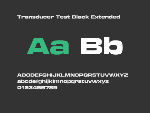 Transducer Test Black Extended