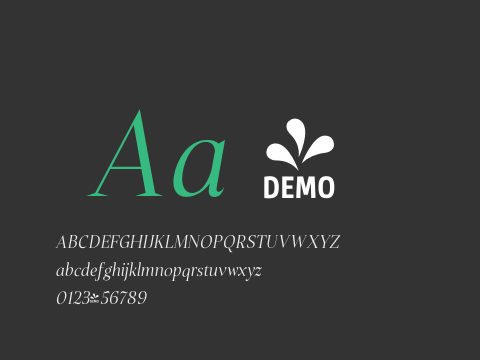 FSP DEMO - Plaisir Light Italic