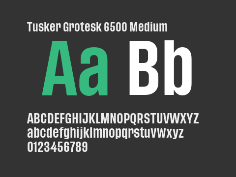 Tusker Grotesk 6500 Medium