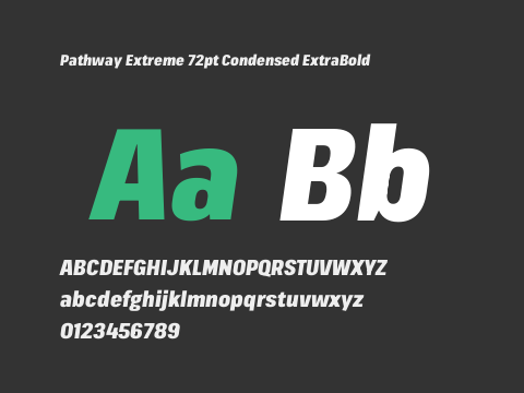 Pathway Extreme 72pt Condensed ExtraBold