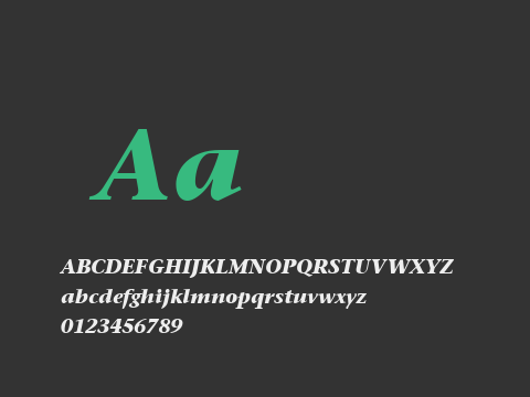 StoneSerif LT Bold