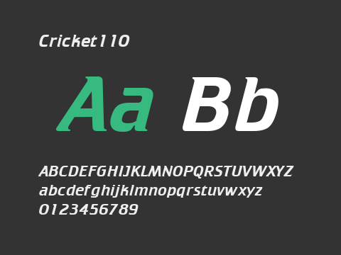 Cricket110