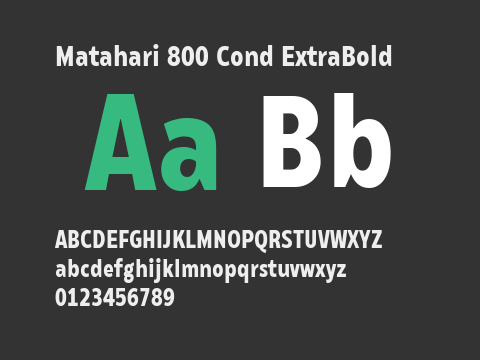 Matahari 800 Cond ExtraBold