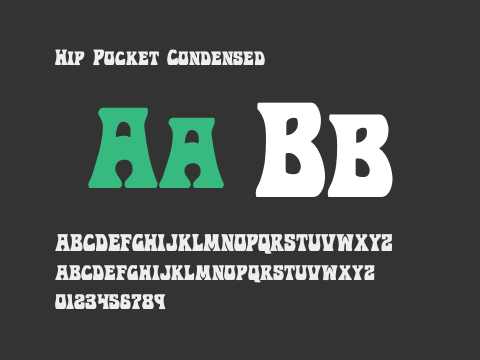 Hip Pocket Condensed