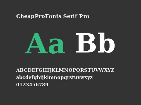 CheapProFonts Serif Pro