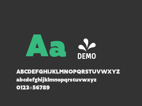 FSP DEMO - Agile Sans Heavy