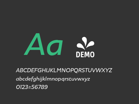 FSP DEMO - Agile Sans Italic