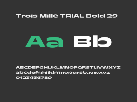 Trois Mille TRIAL Bold 29