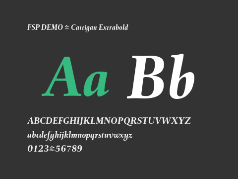 FSP DEMO - Cattigan Extrabold