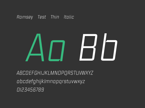 Ramsey Test Thin Italic