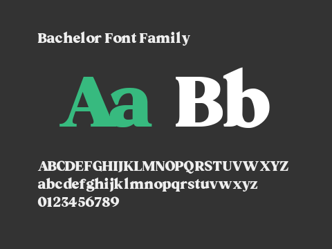 Bachelor Font Family