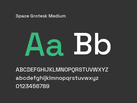 Space Grotesk Medium