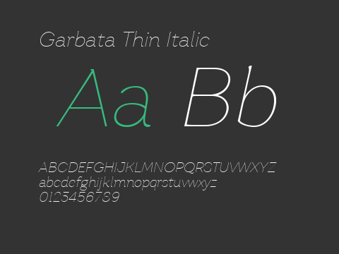 Garbata Thin Italic