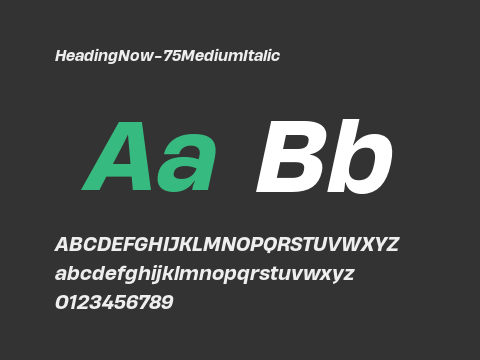 HeadingNow-75MediumItalic