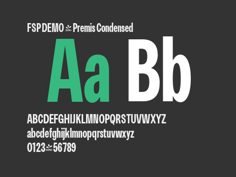 FSP DEMO - Premis Condensed