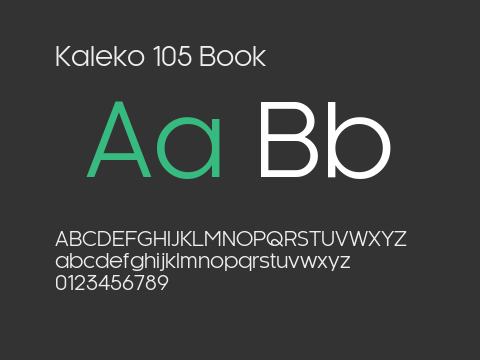 Kaleko 105 Book