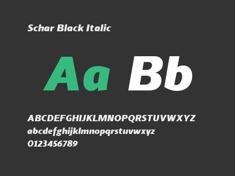 Schar Black Italic