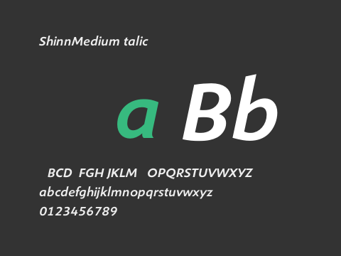 ShinnMediumItalic