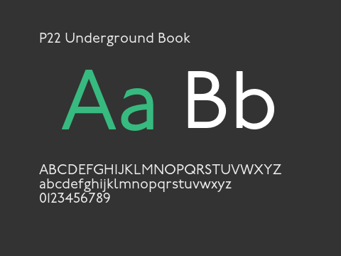 P22 Underground Book