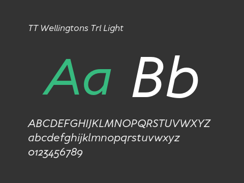 TT Wellingtons Trl Light