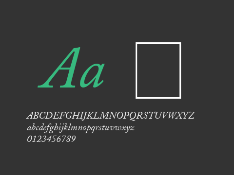 Caslon SSi