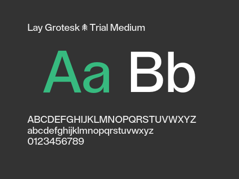 Lay Grotesk - Trial Medium