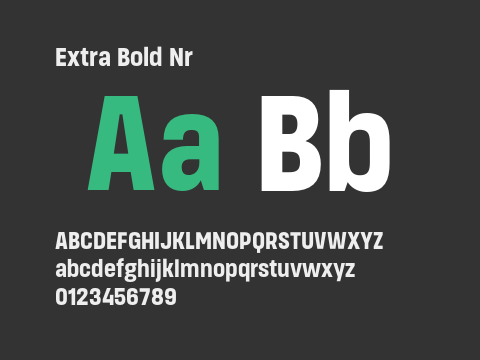 Extra Bold Nr