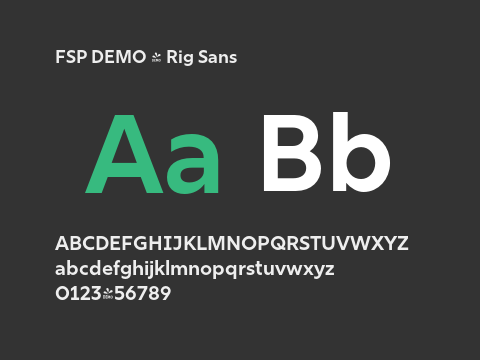 FSP DEMO - Rig Sans