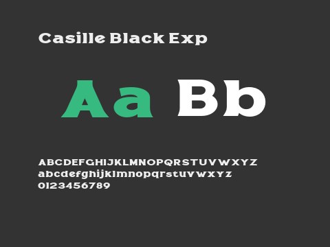 Casille Black Exp