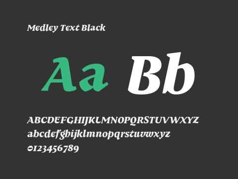 Medley Text Black