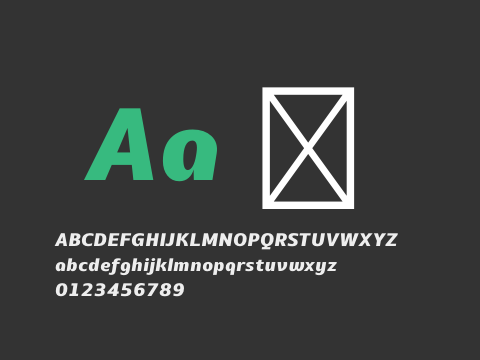 EQPro-BlackItalic