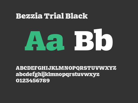 Bezzia Trial Black