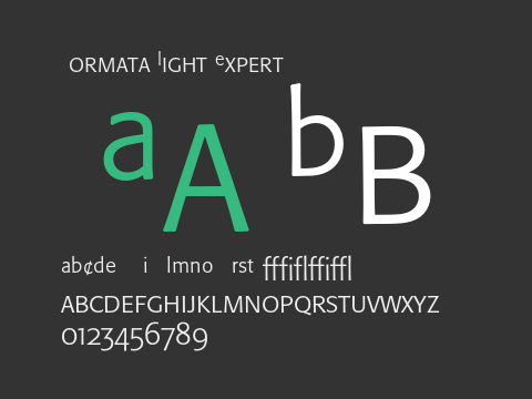 Formata Light Expert