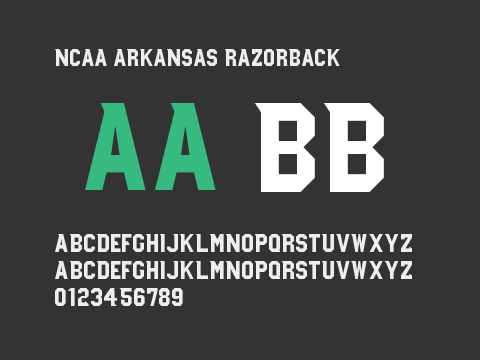 NCAA Arkansas Razorback