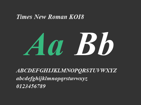 Times New Roman KOI8