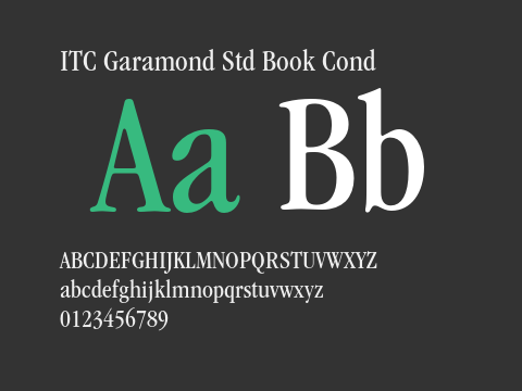 ITC Garamond Std Book Cond