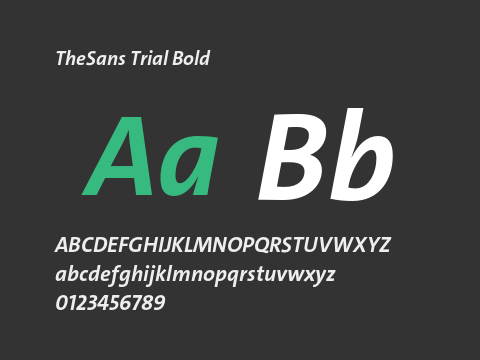 TheSans Trial Bold