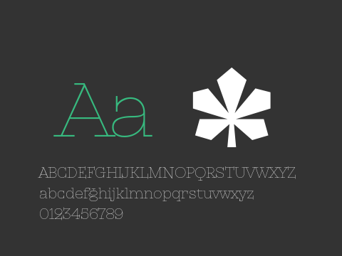 KyivType Serif Thin