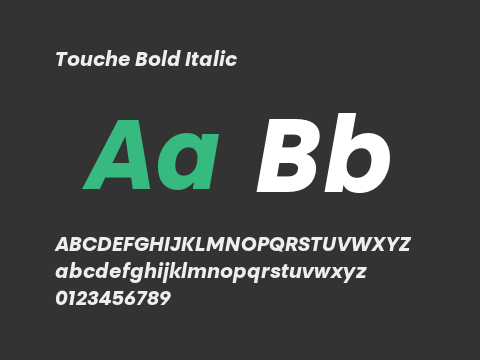 Touche Bold Italic