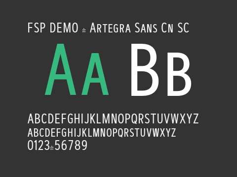 FSP DEMO - Artegra Sans Cn SC