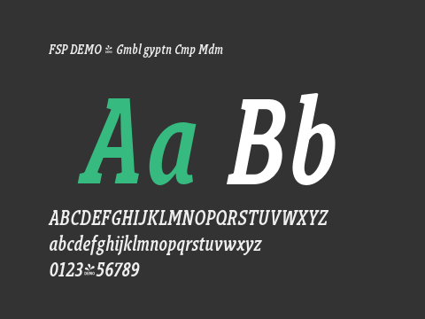 FSP DEMO - Gmbl gyptn Cmp Mdm