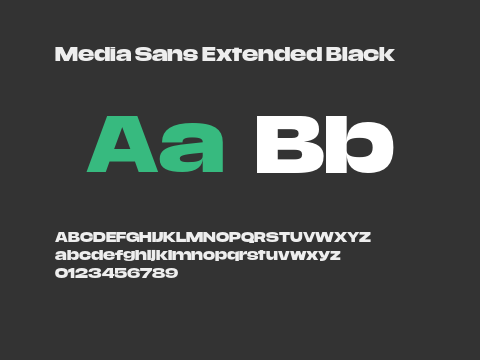 Media Sans Extended Black