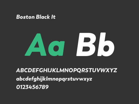 Boston Black It